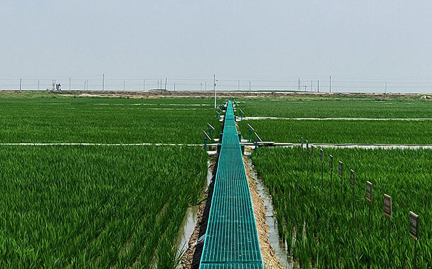 瓷磚膠或成為建材行業潛力賽道，目前迎來多重發展機遇